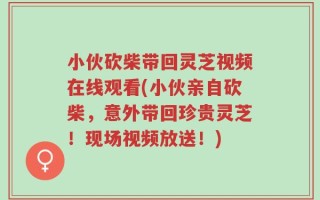小伙砍柴带回灵芝视频在线观看(小伙亲自砍柴，意外带回珍贵灵芝！现场视频放送！)