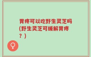 胃疼可以吃野生灵芝吗(野生灵芝可缓解胃疼？)