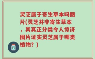 灵芝属于寄生草本吗图片(灵芝并非寄生草本，其真正分类令人惊讶图片证实灵芝属于哪类植物？)