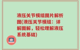 液压关节模组图片解析图(液压关节模组：详解图解，轻松理解液压系统基础)