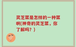 灵芝菜是怎样的一种菜啊(神奇的灵芝菜，你了解吗？)