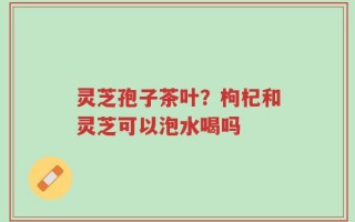 灵芝孢子茶叶？枸杞和灵芝可以泡水喝吗