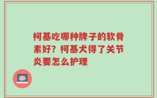 柯基吃哪种牌子的软骨素好？柯基犬得了关节炎要怎么护理