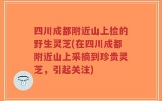 四川成都附近山上捡的野生灵芝(在四川成都附近山上采摘到珍贵灵芝，引起关注)