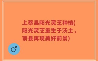 上蔡县阳光灵芝种植(阳光灵芝重生于沃土，蔡县再现美好前景)