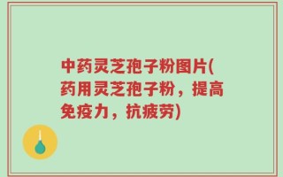 中药灵芝孢子粉图片(药用灵芝孢子粉，提高免疫力，抗疲劳)