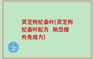 灵芝枸杞桑叶(灵芝枸杞桑叶配方  助您提升免疫力)