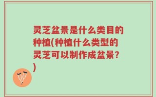 灵芝盆景是什么类目的种植(种植什么类型的灵芝可以制作成盆景？)