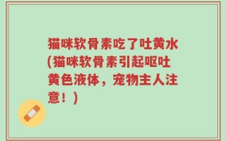 猫咪软骨素吃了吐黄水(猫咪软骨素引起呕吐黄色液体，宠物主人注意！)