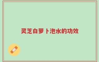 灵芝白萝卜泡水的功效