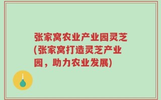 张家窝农业产业园灵芝(张家窝打造灵芝产业园，助力农业发展)