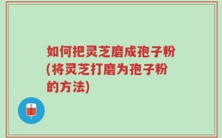 如何把灵芝磨成孢子粉(将灵芝打磨为孢子粉的方法)