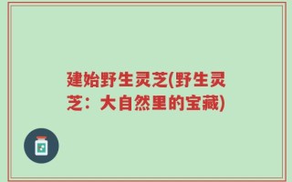 建始野生灵芝(野生灵芝：大自然里的宝藏)