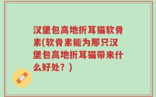 汉堡包高地折耳猫软骨素(软骨素能为那只汉堡包高地折耳猫带来什么好处？)