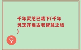 千年灵芝已栽下(千年灵芝开启古老智慧之旅)