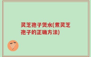 灵芝孢子煲水(煮灵芝孢子的正确方法)