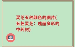 灵芝五种颜色的图片(五色灵芝：瑰丽多彩的中药材)