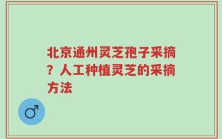 北京通州灵芝孢子采摘？人工种植灵芝的采摘方法
