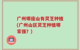 广州哪座山有灵芝种植(广州山区灵芝种植哪家强？)