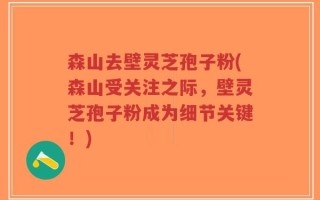 森山去壁灵芝孢子粉(森山受关注之际，壁灵芝孢子粉成为细节关键！)