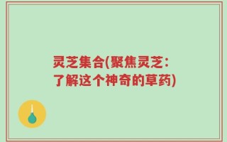 灵芝集合(聚焦灵芝：了解这个神奇的草药)
