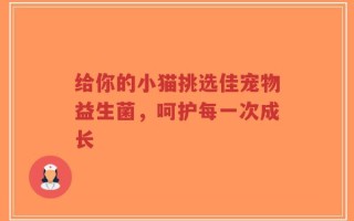 给你的小猫挑选佳宠物益生菌，呵护每一次成长
