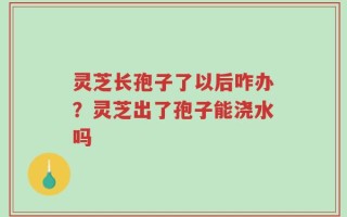灵芝长孢子了以后咋办？灵芝出了孢子能浇水吗