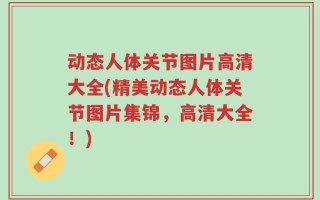 动态人体关节图片高清大全(精美动态人体关节图片集锦，高清大全！)