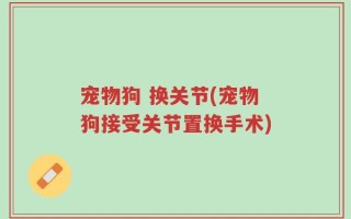 宠物狗 换关节(宠物狗接受关节置换手术)