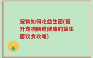 宠物如何吃益生菌(提升宠物肠道健康的益生菌饮食攻略)