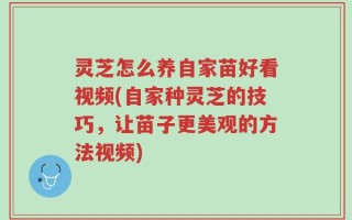 灵芝怎么养自家苗好看视频(自家种灵芝的技巧，让苗子更美观的方法视频)