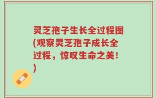 灵芝孢子生长全过程图(观察灵芝孢子成长全过程，惊叹生命之美！)