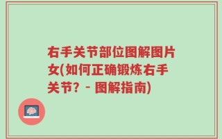 右手关节部位图解图片女(如何正确锻炼右手关节？- 图解指南)