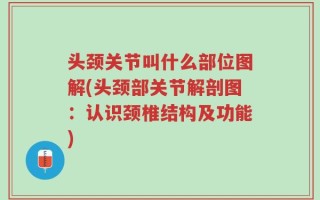 头颈关节叫什么部位图解(头颈部关节解剖图：认识颈椎结构及功能)