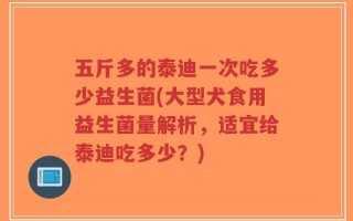 五斤多的泰迪一次吃多少益生菌(大型犬食用益生菌量解析，适宜给泰迪吃多少？)