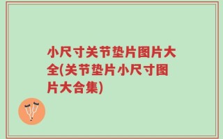 小尺寸关节垫片图片大全(关节垫片小尺寸图片大合集)