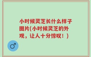 小时候灵芝长什么样子图片(小时候灵芝的外观，让人十分惊叹！)
