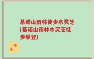 基诺山雨林徒步木灵芝(基诺山雨林木灵芝徒步攀登)