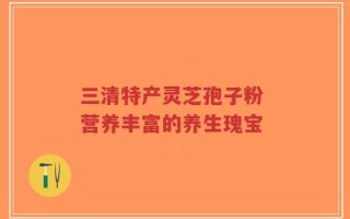 三清特产灵芝孢子粉 营养丰富的养生瑰宝