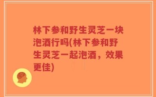 林下参和野生灵芝一块泡酒行吗(林下参和野生灵芝一起泡酒，效果更佳)