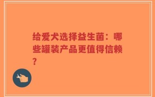 给爱犬选择益生菌：哪些罐装产品更值得信赖？