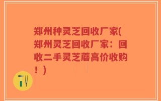 郑州种灵芝回收厂家(郑州灵芝回收厂家：回收二手灵芝蘑高价收购！)