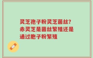灵芝孢子粉灵芝菌丝？赤灵芝是菌丝繁殖还是通过胞子粉繁殖