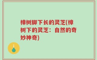 樟树脚下长的灵芝(樟树下的灵芝：自然的奇妙神奇)