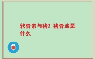 软骨素与猪？猪骨油是什么