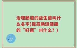 治理肠道的益生菌叫什么名字(提高肠道健康的“好菌”叫什么？)