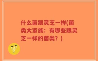 什么菌跟灵芝一样(菌类大家族：有哪些跟灵芝一样的菌类？)