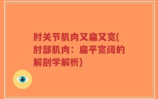 肘关节肌肉又扁又宽(肘部肌肉：扁平宽阔的解剖学解析)