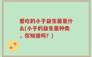 爱吃的小于益生菌是什么(小于的益生菌种类，你知道吗？)