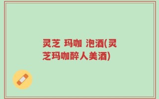 灵芝 玛咖 泡酒(灵芝玛咖醉人美酒)